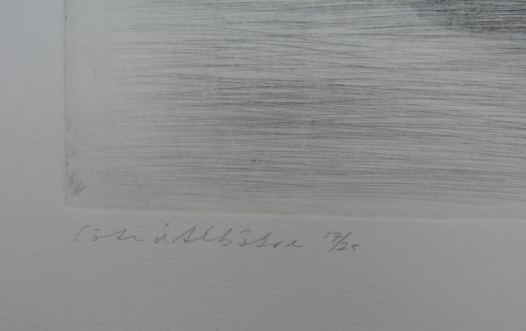 Jan Hein van Rooy: Ets, Kust kopen? Bied vanaf 20!