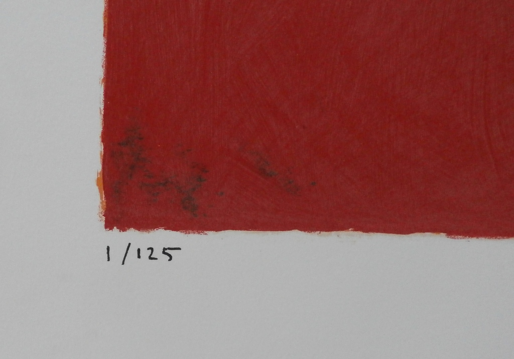 Anneke Peereboom - Grote kleurrijke zeefdruk kopen? Bied vanaf 75!