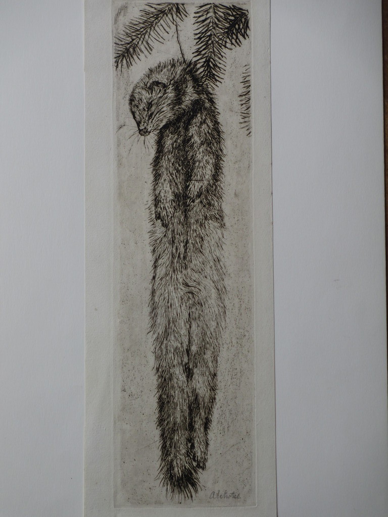 Andreas Schotel, Hermelijn in strik, Ets kopen? Bied vanaf 50!