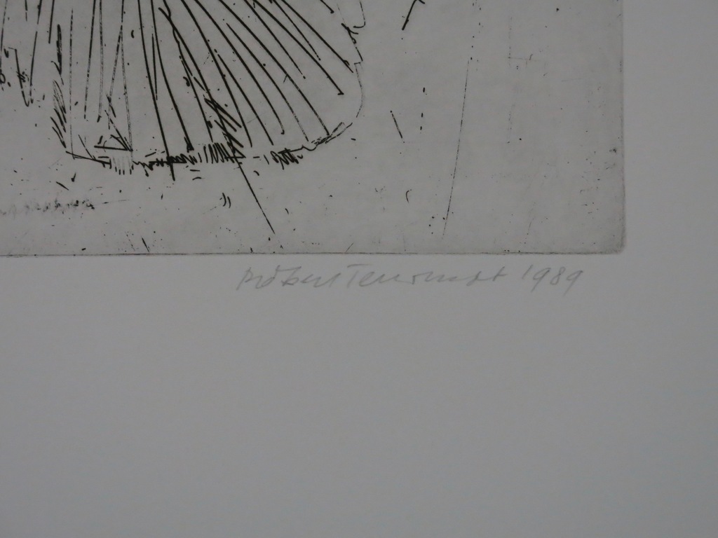 Robert Terwindt: Ets, Icarus IV Oervogel kopen? Bied vanaf 20!