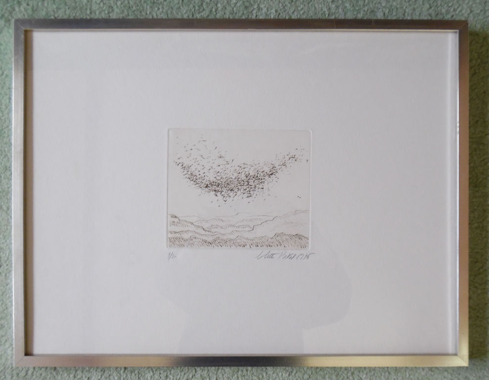 Ets van Colette Portal - Voyage en noces kopen? Bied vanaf 15!