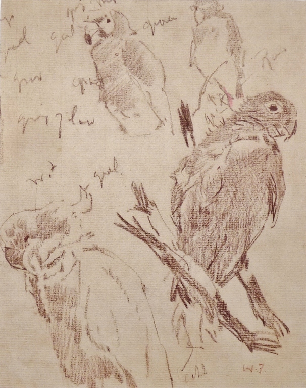 Willem de Zwart, Tekening, Papagaaien? verkocht voor € 75!