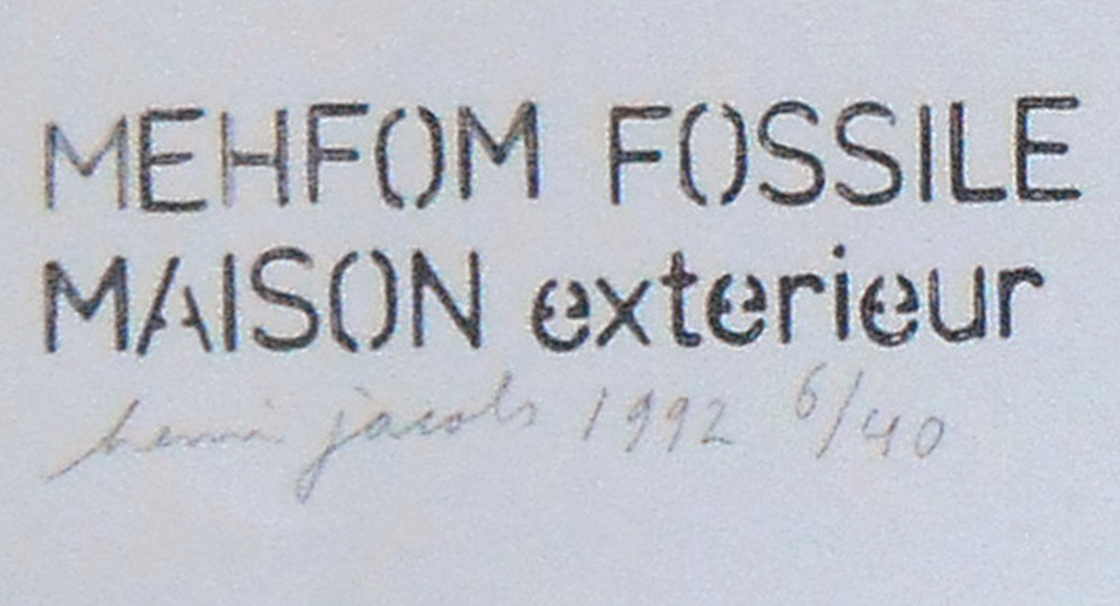 Henri Jacobs - Mehfom fossile - litho uit 1992 kopen? Bied vanaf 80!