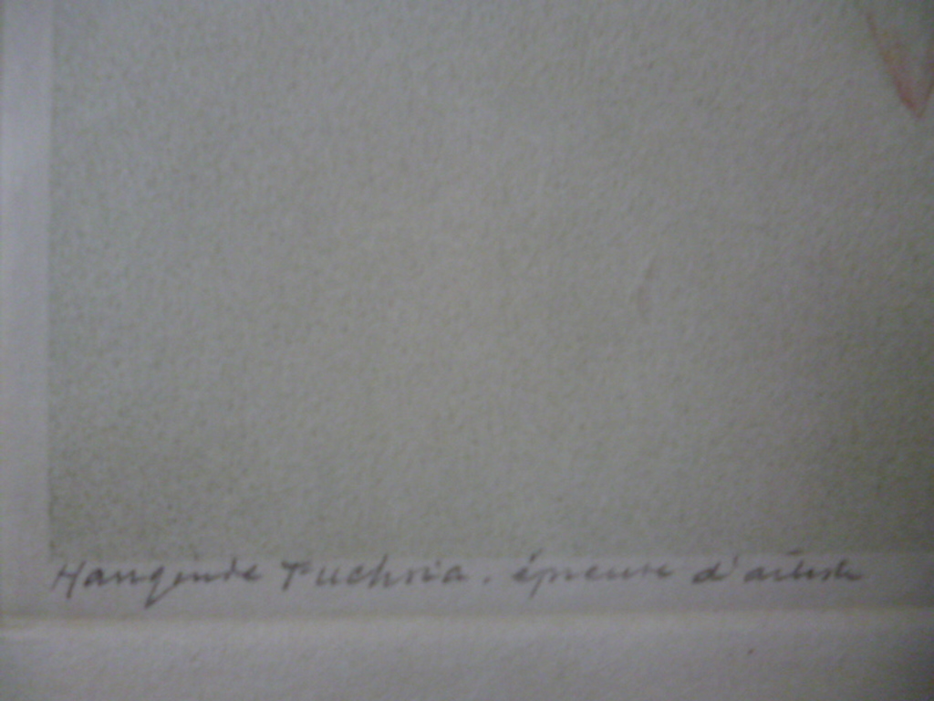 Dirk Harting - aquatint - Hangende fuchsia kopen? Bied vanaf 90!