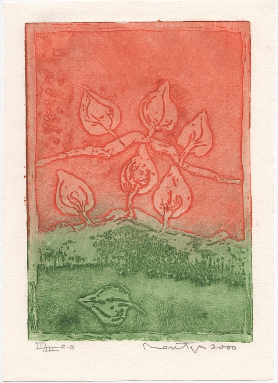 Jan Montyn, ets, 2000 kopen? Bied vanaf 129!