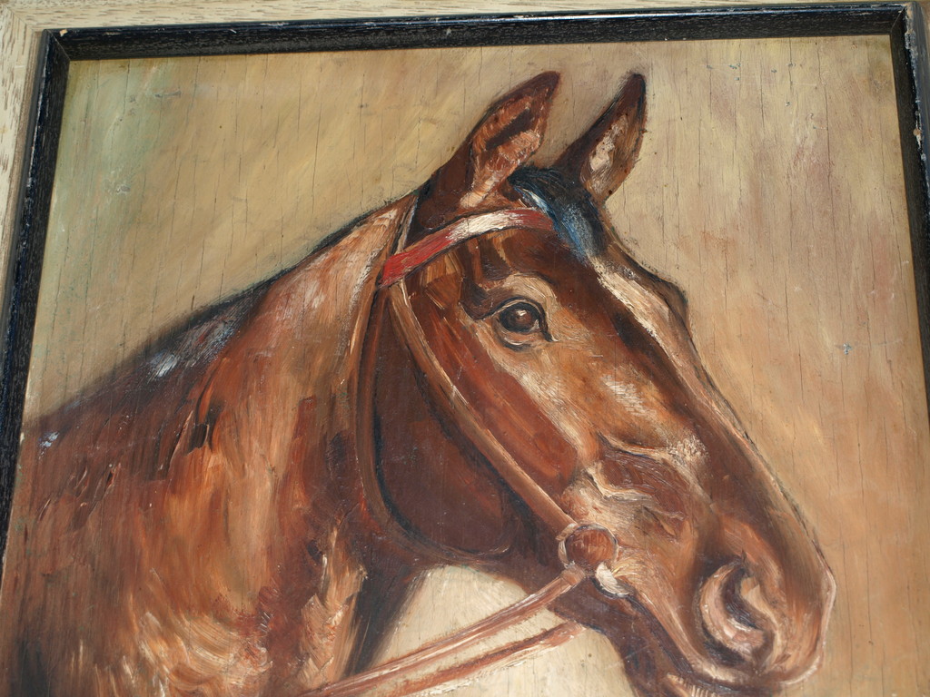 HERMANN THIERER (1882-?)–Olieverf –Paardenportret–Gesigneerd & ingelijst–ca 1930 kopen? Bied vanaf 1!