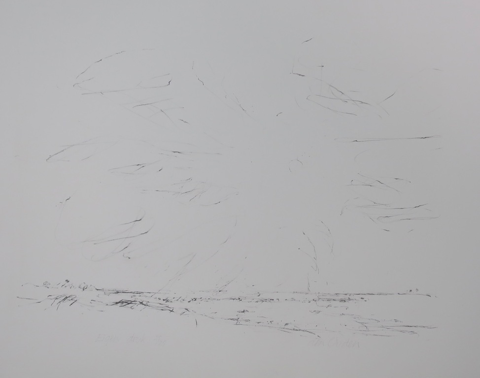 Willem den Ouden Litho, Z.T. kopen? Bied vanaf 1!