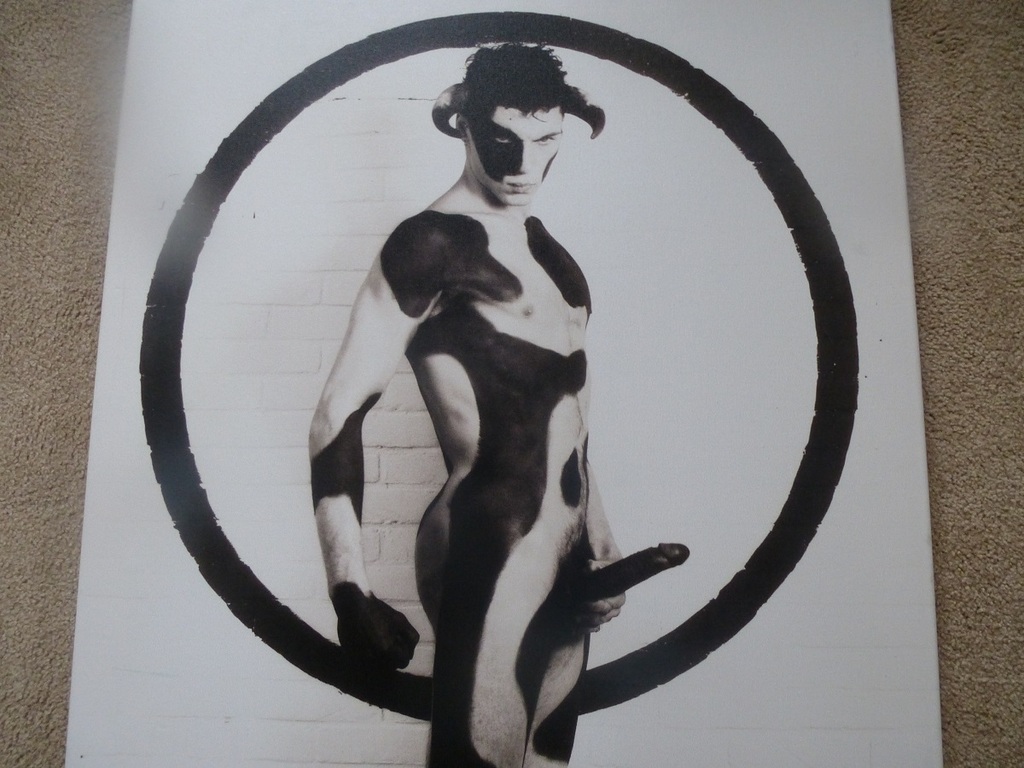 Paul Blanca, foto op linnen: Bull, handgesign., nummer 17/20 verkocht voor € 295!