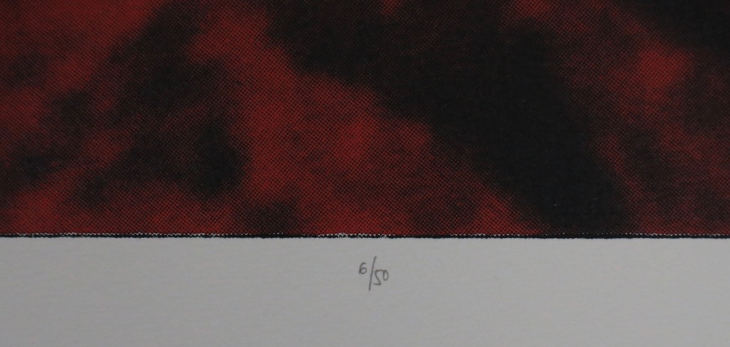 Onbekend gesigneerd: Zeefdruk, The cat has run, the blackbird has flown kopen? Bied vanaf 1!