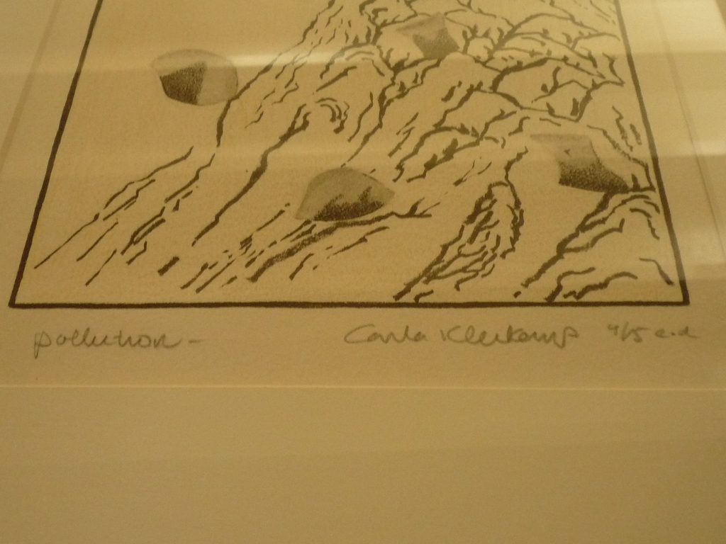 Carla Kleekamp, Kleurenets, Pollution kopen? Bied vanaf 75!