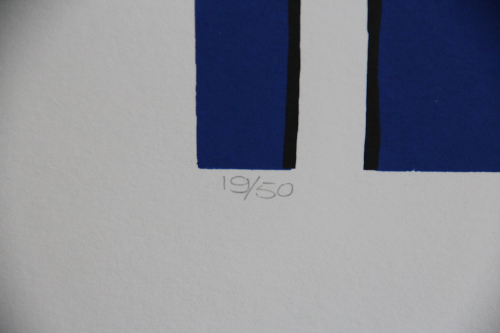 Maartje Wijngaarden zeefdruk  kopen? Bied vanaf 25!