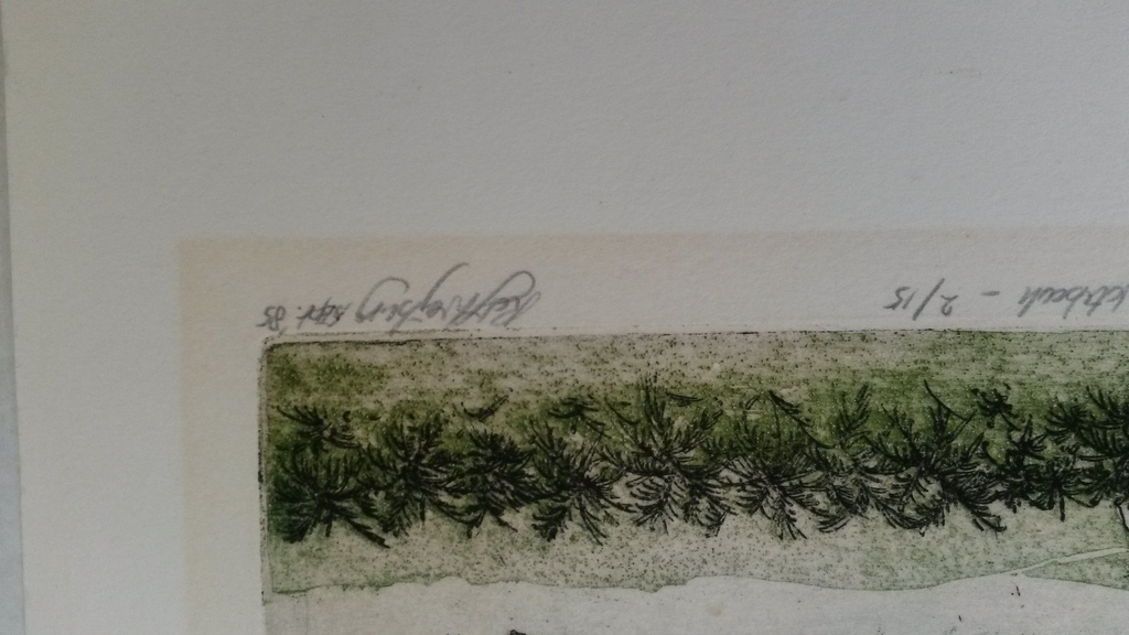 Rolf Weijburg - kleurenets - From the Sao Tomé Notebook kopen? Bied vanaf 40!