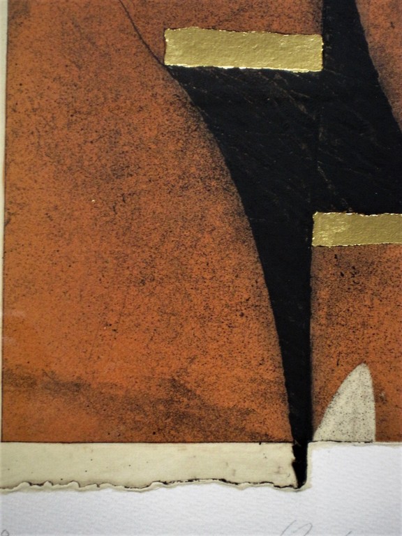 Buitengewoon Chine Collé bladgoud Diepdruk van Grafische meester Jan Naezer kopen? Bied vanaf 1!