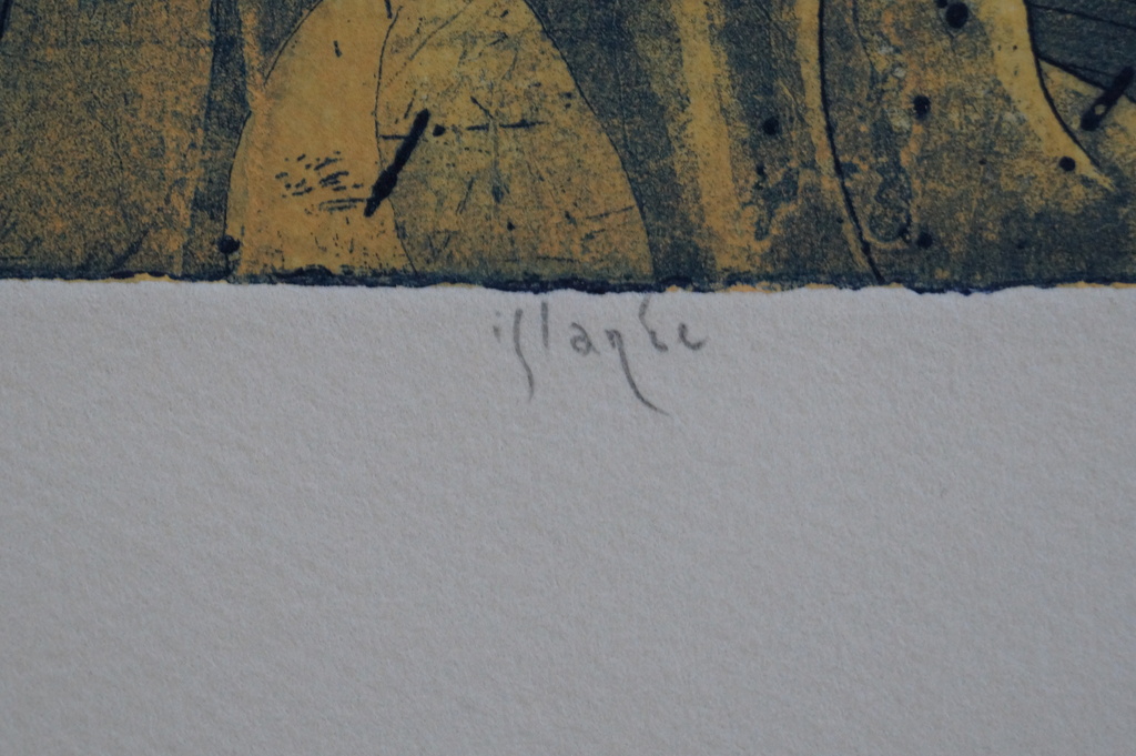 Mark Visione - gesigneerde ets - islande - 21 ex. kopen? Bied vanaf 10!