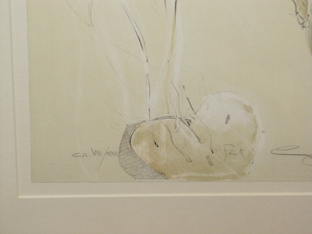 Jurgen Gorg: lithografie, feit kopen? Bied vanaf 75!