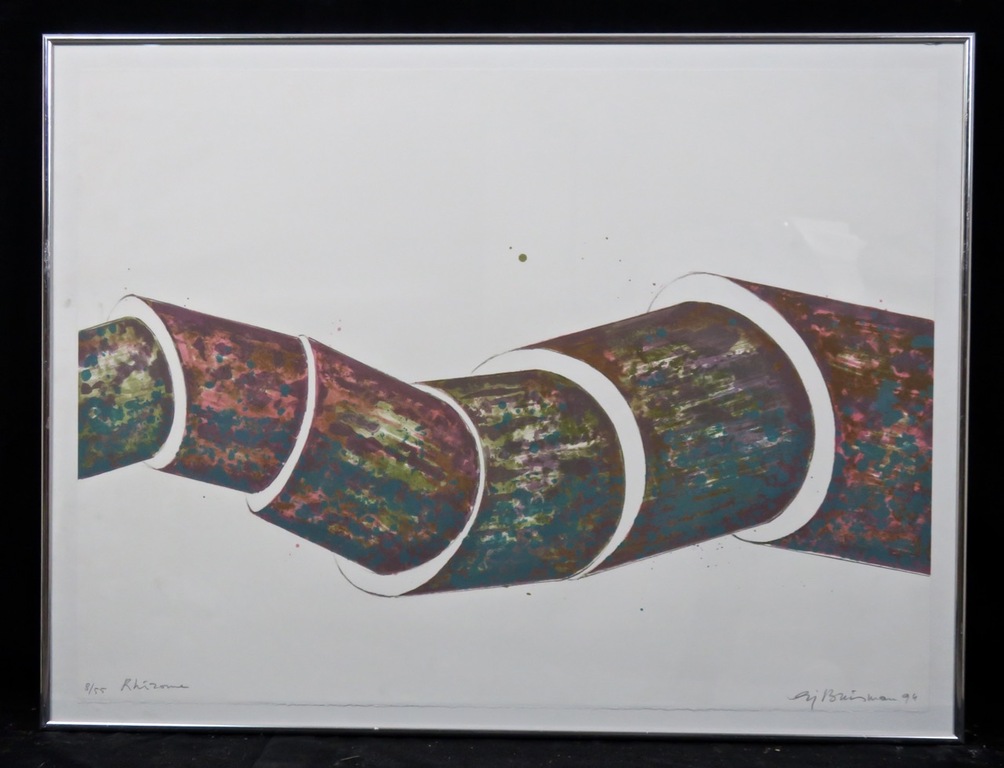Sjoerd Buisman: Litho, Rhizome - Ingelijst verkocht voor € 40!