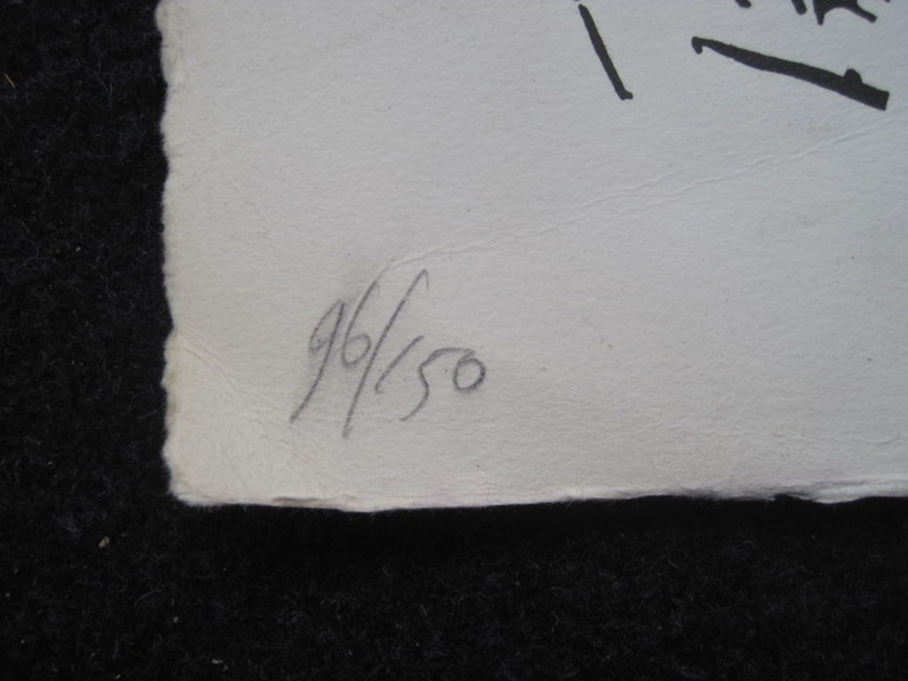 alleskunner Henri Plaat (1936-) grote litho  kopen? Bied vanaf 1!