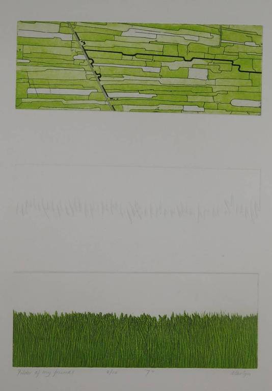 Martijn Ruiter: Ets en aquatint en reliefdruk, Polder of my friends kopen? Bied vanaf 1!