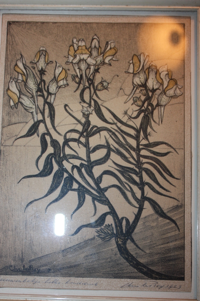 Leeuwenbekje Litho handdruk 1923 kopen? Bied vanaf 55!