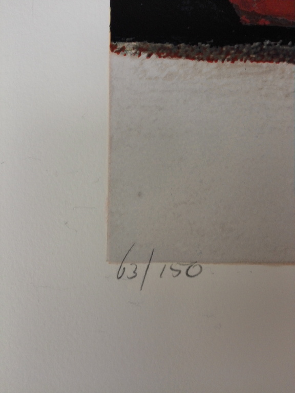 Ron van der Werf, zeefdruk op papier, Titel : Terra II kopen? Bied vanaf 40!