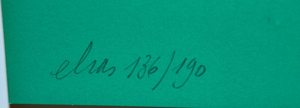 Etienne Elias: Tennisspeler zeefdruk kopen? Bied vanaf 120!