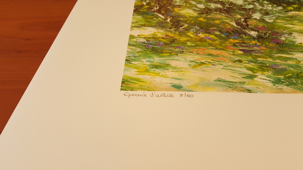 Segelboote vor Küste - Grote Lithografie - gesigneerd en genummerd - oplage 390 kopen? Bied vanaf 5!
