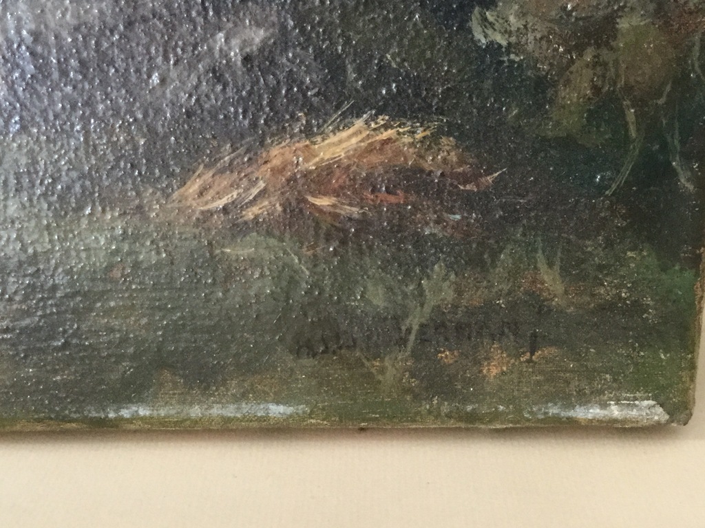 Boerderij met kippen kopen? Bied vanaf 65!