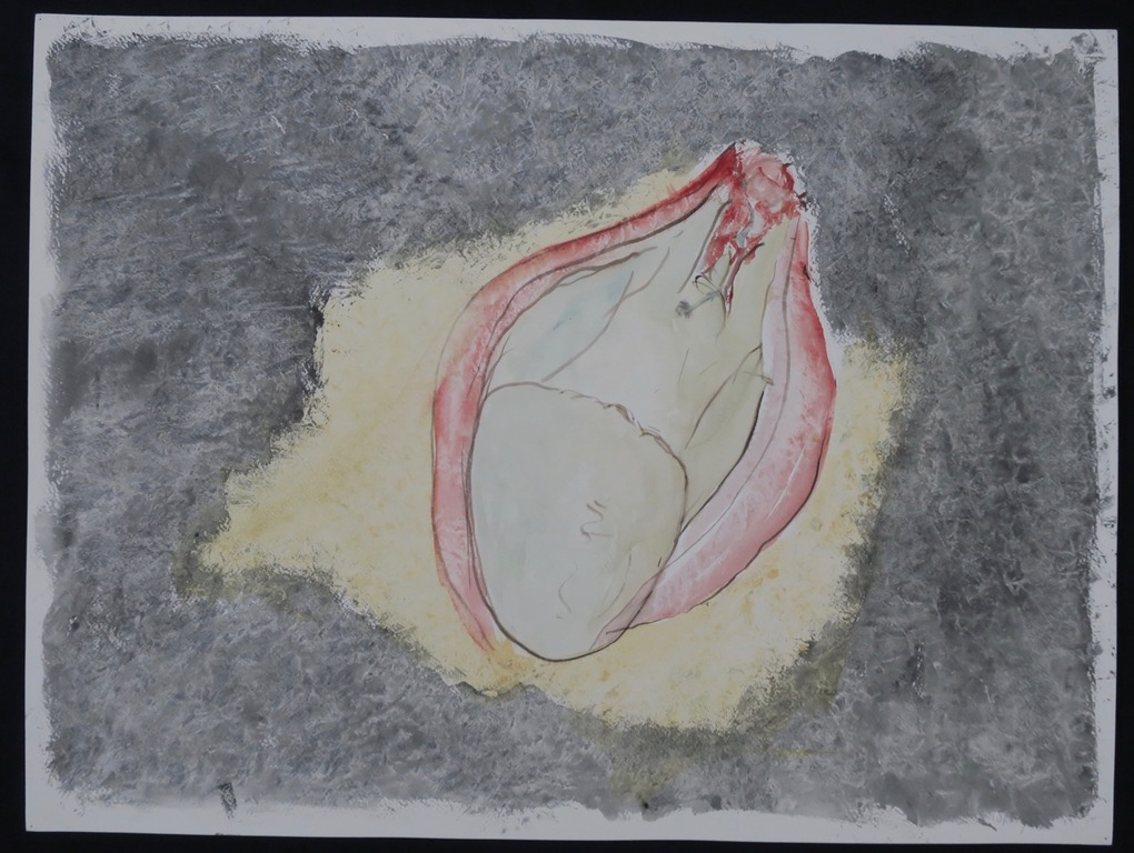 Hans Kuijs: Aquarel, Geboorte kopen? Bied vanaf 1!