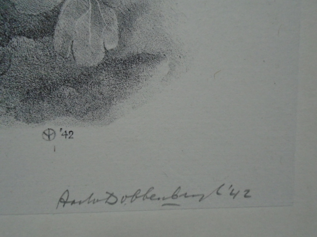 Aart van Dobbenburgh - litho - Bloeiende akelei kopen? Bied vanaf 35!