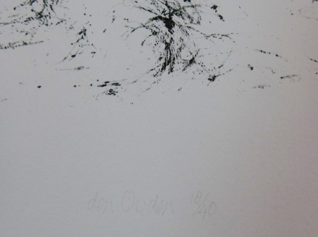 Willem den Ouden: Litho, Landschap kopen? Bied vanaf 1!