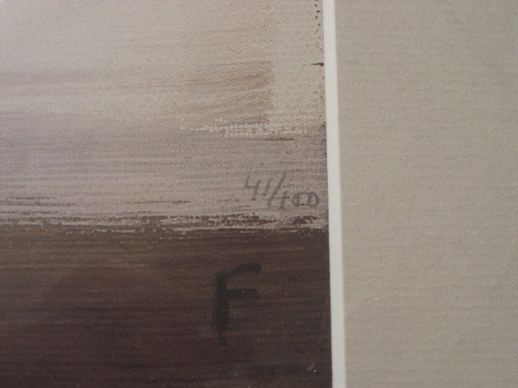 Groot gelaagd "Collage Litho" van Frieda van Voorst (1949-) gesigneerd 1989 kopen? Bied vanaf 1!