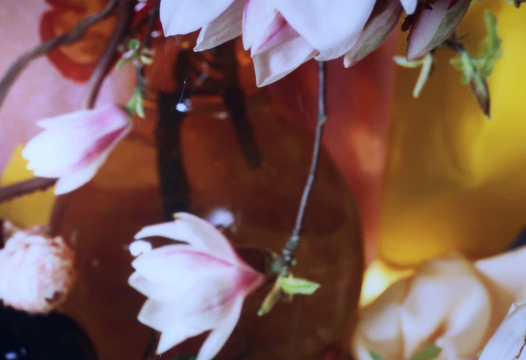 Margriet Smulders: Cibachrome print, Athena (Groot) kopen? Bied vanaf 1500!