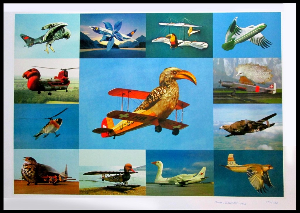Martin Schwarz - Vogelvlieger - kleuroffsetlithografie - handgesigneerd kopen? Bied vanaf 25!
