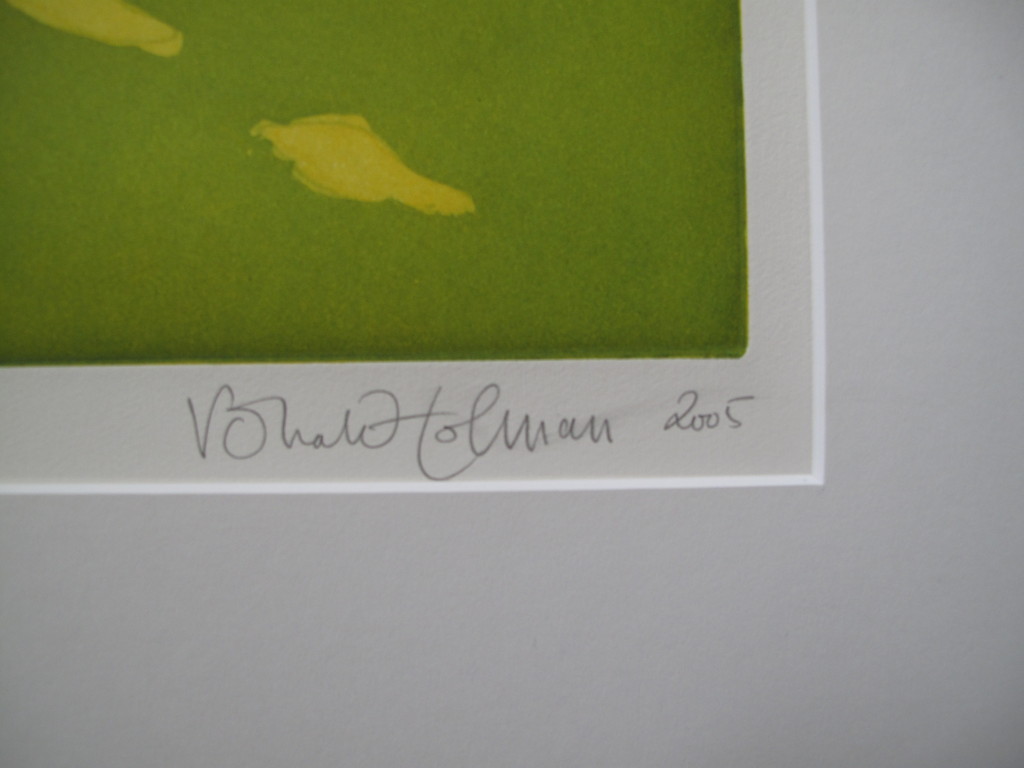 Ronald Tolman, Zonder titel 2005, ets 4/40 kopen? Bied vanaf 60!