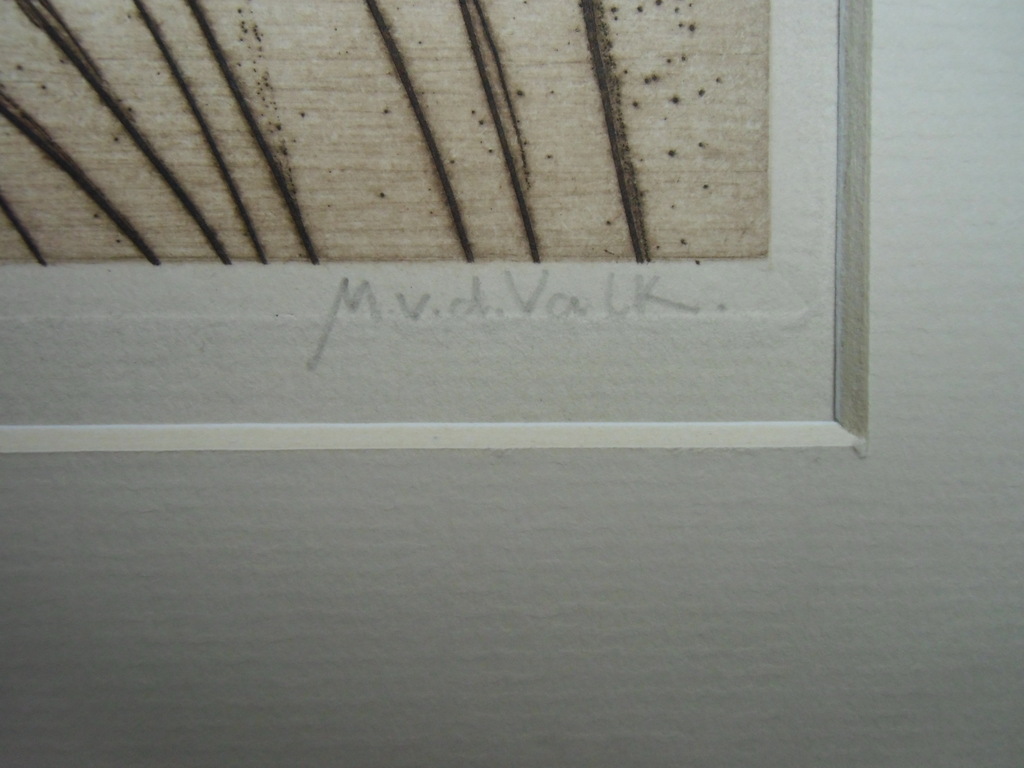 IN DE PLASSEN BIJ KORTENHOEF  ///  ETS VAN MAURITS VAN DER VALK kopen? Bied vanaf 30!