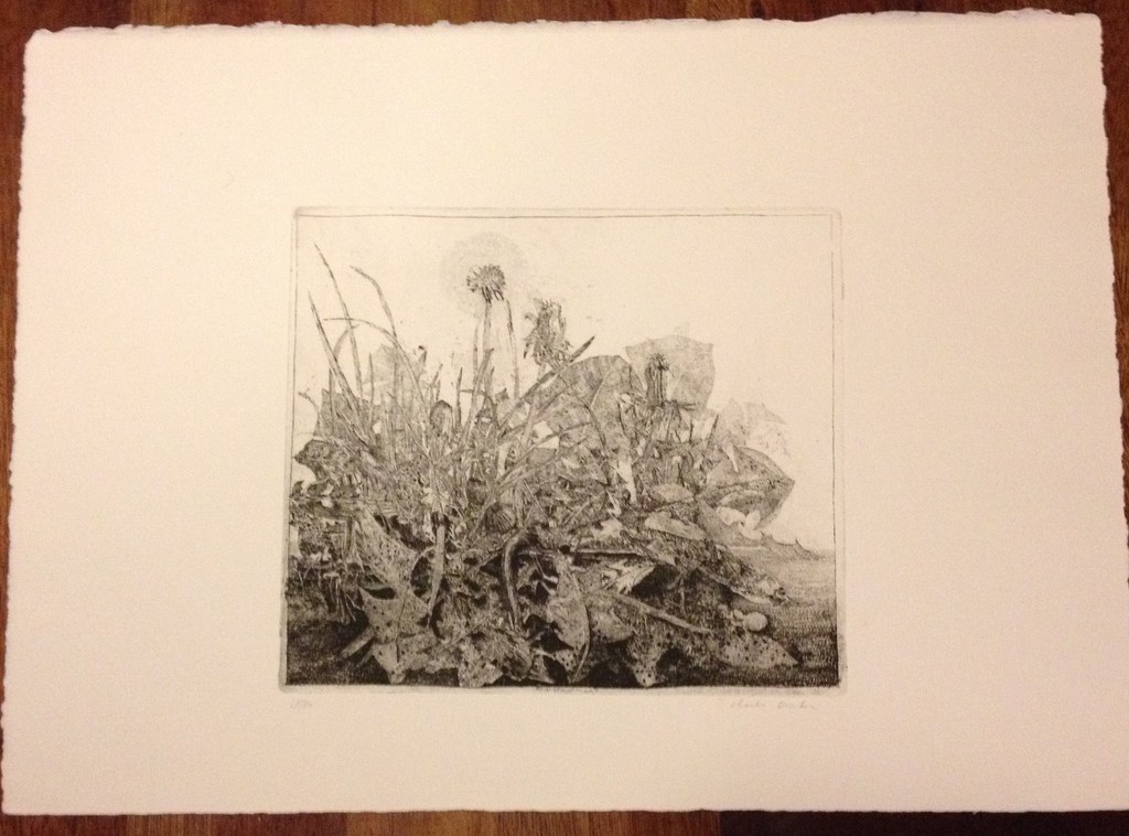 Charles Donker (1940): Paardebloemen, ets, ca. 1972 kopen? Bied vanaf 95!