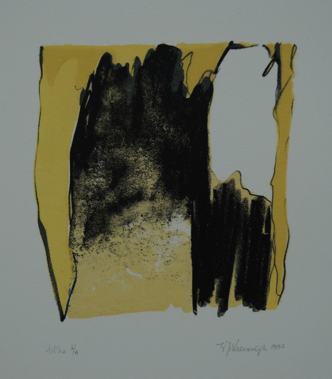 Elisabeth van Vreeswijk - gesigneerde litho - oplage 9 stuks - 1997 kopen? Bied vanaf 1!