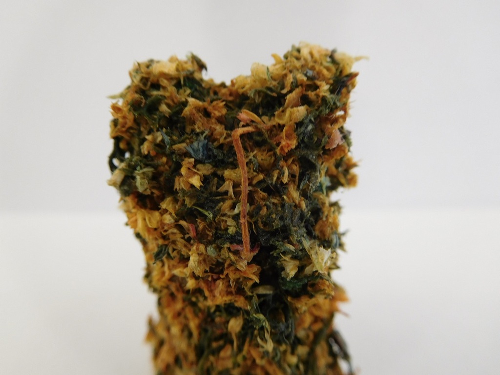 Jeff Koons, oranje Multiple "Puppy" 1992, Bilbao Guggenheim kopen? Bied vanaf 75!