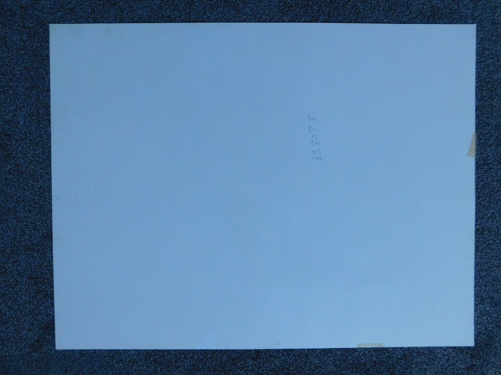 Citroenen - Guusje van Noorden - Kleurenlitho kopen? Bied vanaf 25!