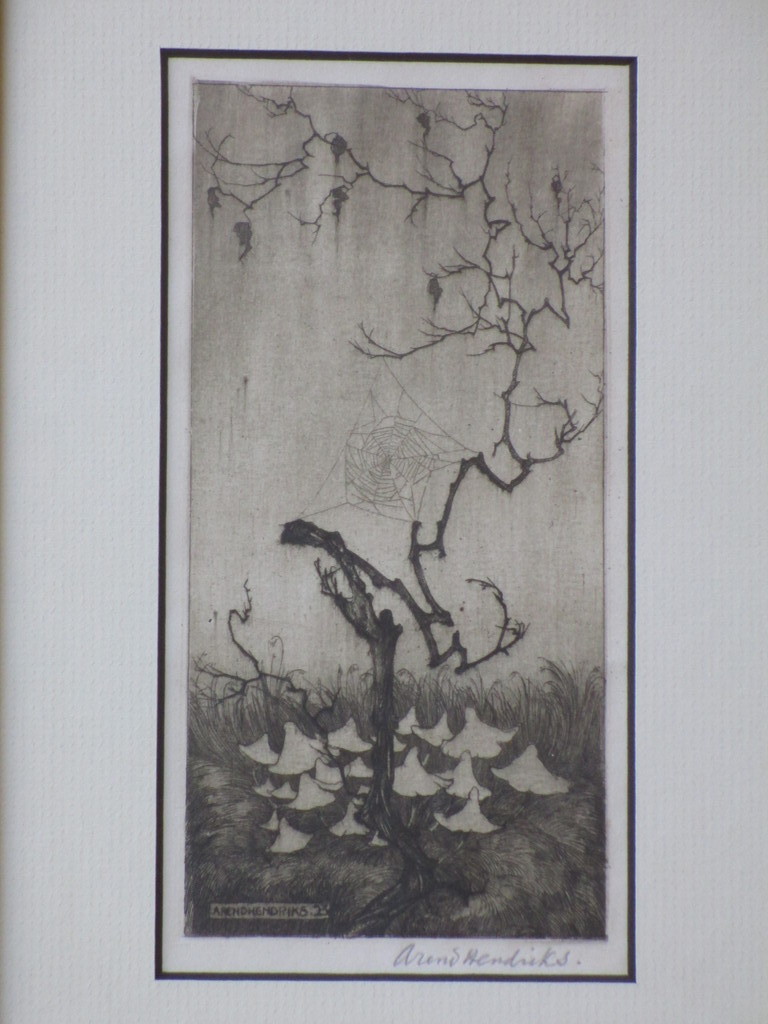 Arend Hendriks, Spinneweb in de morgendauw, Ets 1925 kopen? Bied vanaf 50!
