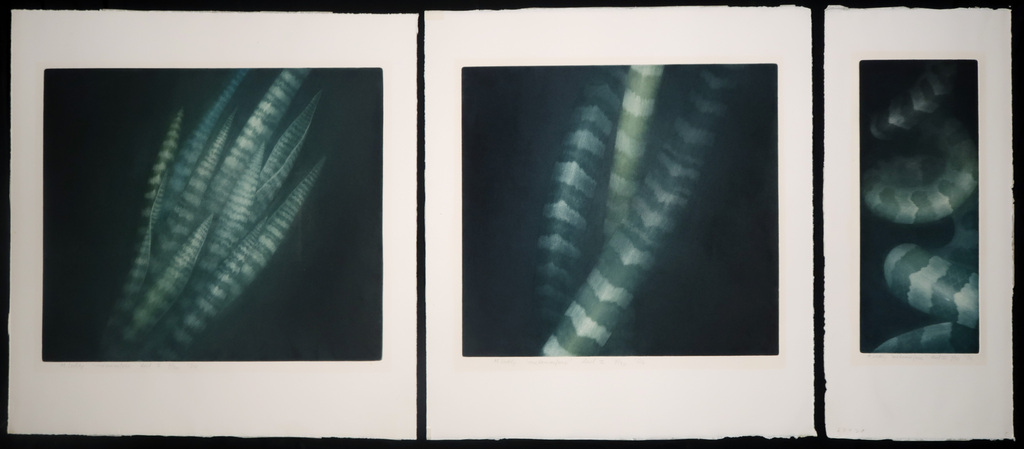 Madeleine Leddy: Lot van 3 mezzotints, Metamorfose kopen? Bied vanaf 50!