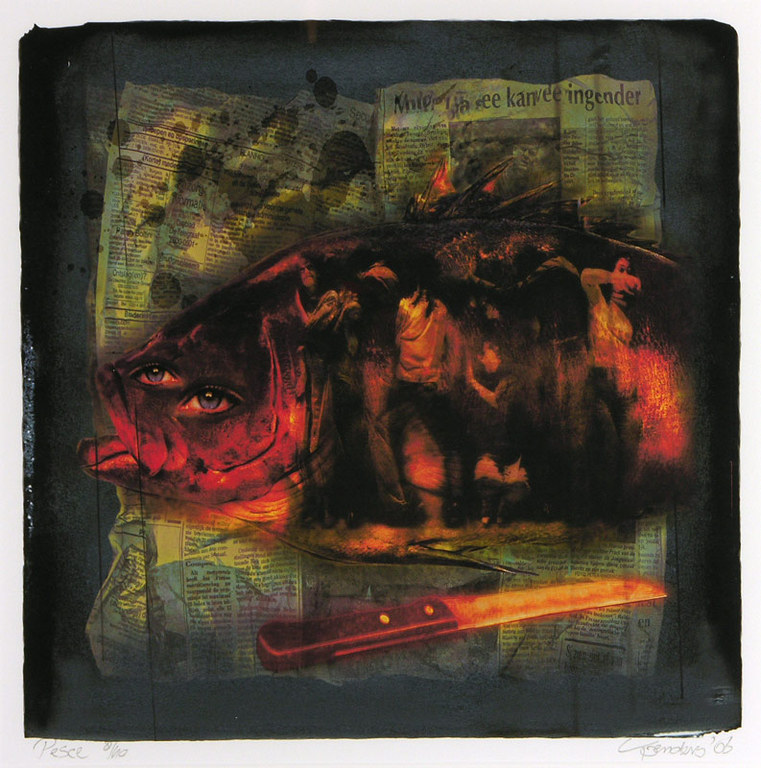 Ed Koenders: Giclee, Pesce kopen? Bied vanaf 70!