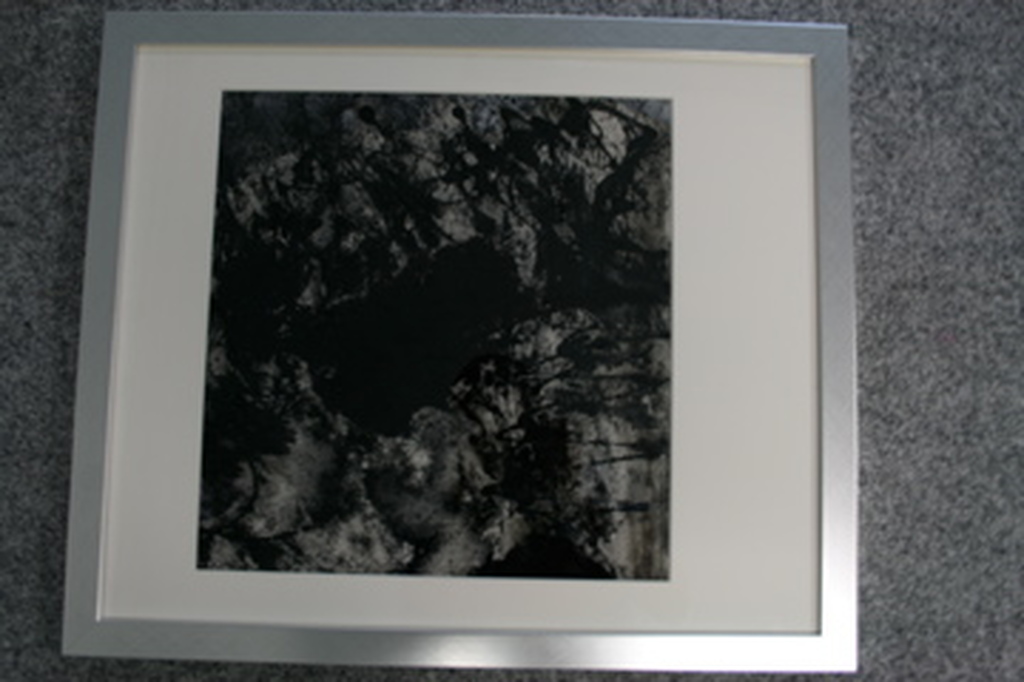 zwart/wit kopen? Bied vanaf 100!