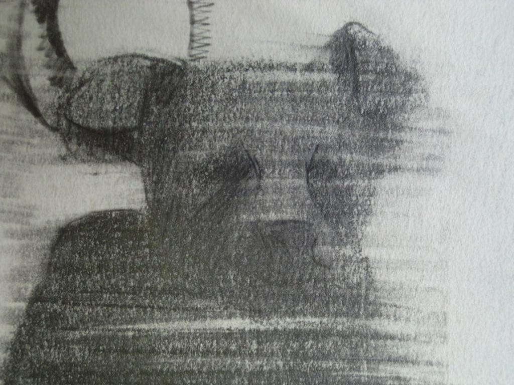 Jaap van de Pol 1938-2009 "man en pitbull"  potloodtekening 1971 gesigneerd  kopen? Bied vanaf 1!
