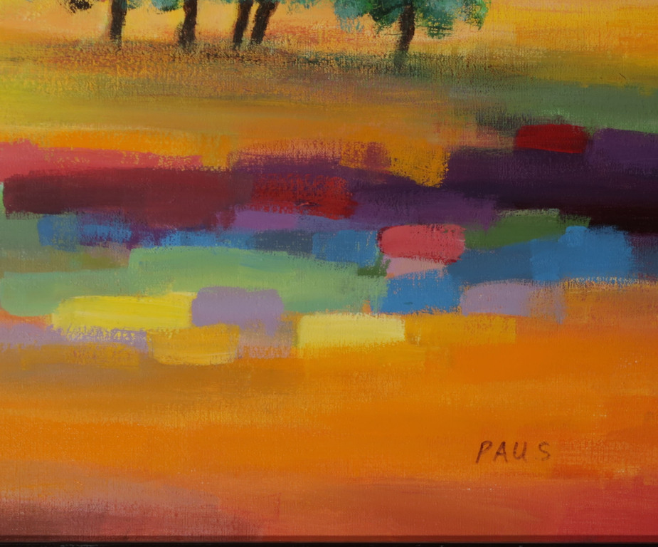 Hans Paus: Olieverf op Doek, Landschap - Ingelijst kopen? Bied vanaf 50!