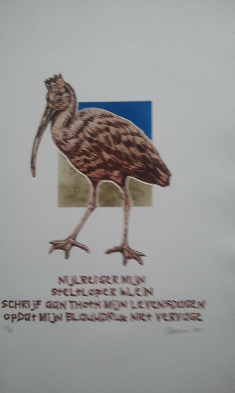 Els Maasson kopen? Bied vanaf 1!
