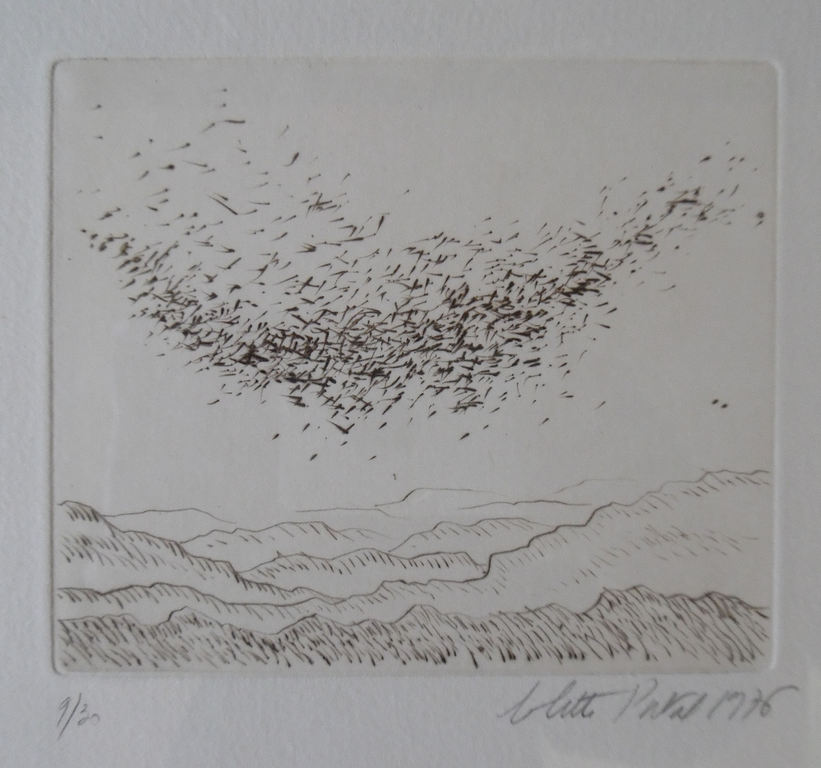 Colette Portal (1936)