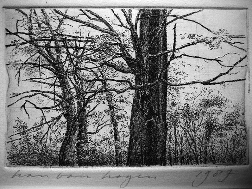 Han van Hagen: 'Bomen' -lijnets 1987- kopen? Bied vanaf 25!