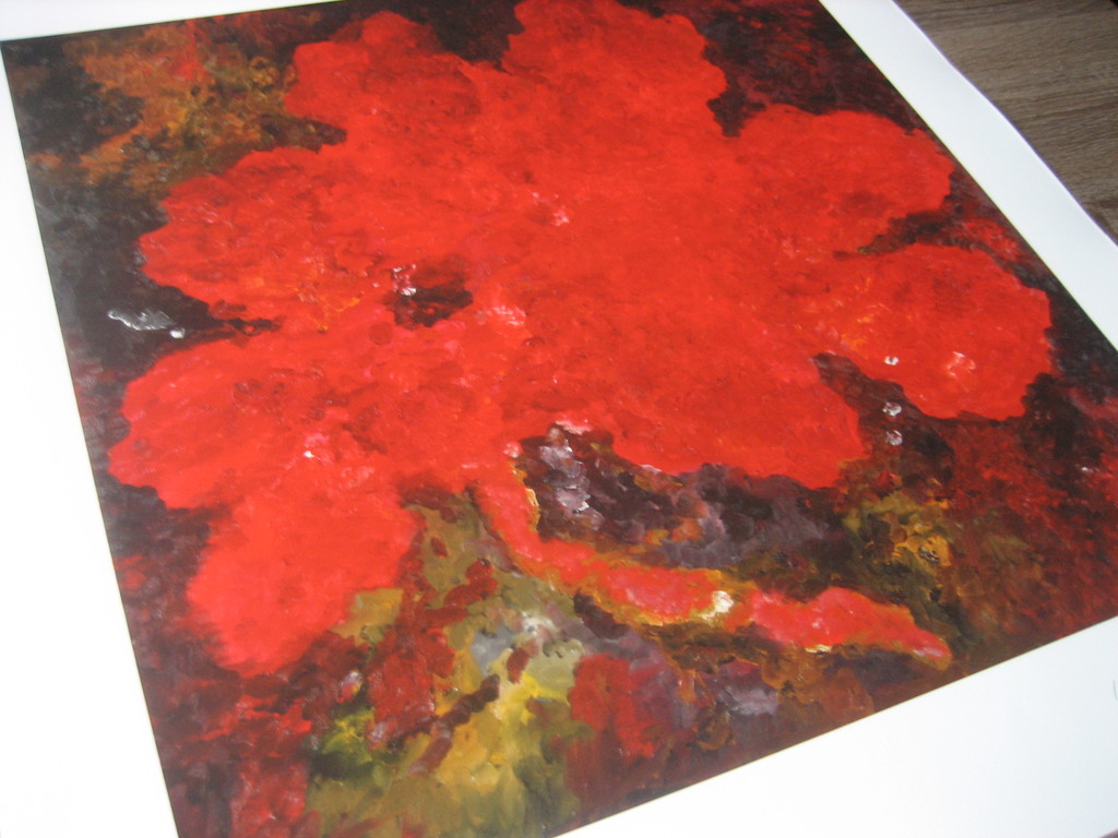 Armando - "Die Blume" - Giclee - Handgesigneerd en -genummerd - 2016 kopen? Bied vanaf 95!