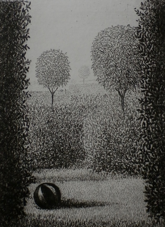 Dolf Zwerver - ets  kopen? Bied vanaf 85!